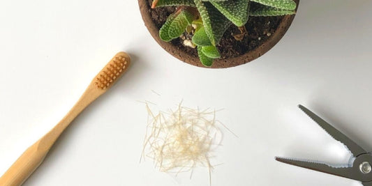 ¿Cómo y dónde reciclar los cepillos de dientes?