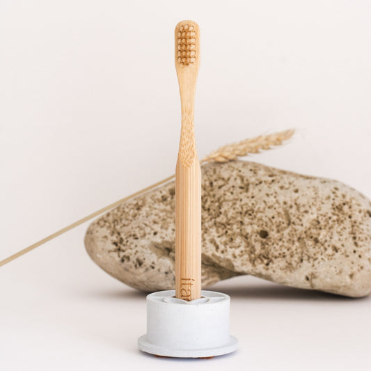 Portacepillo de cemento