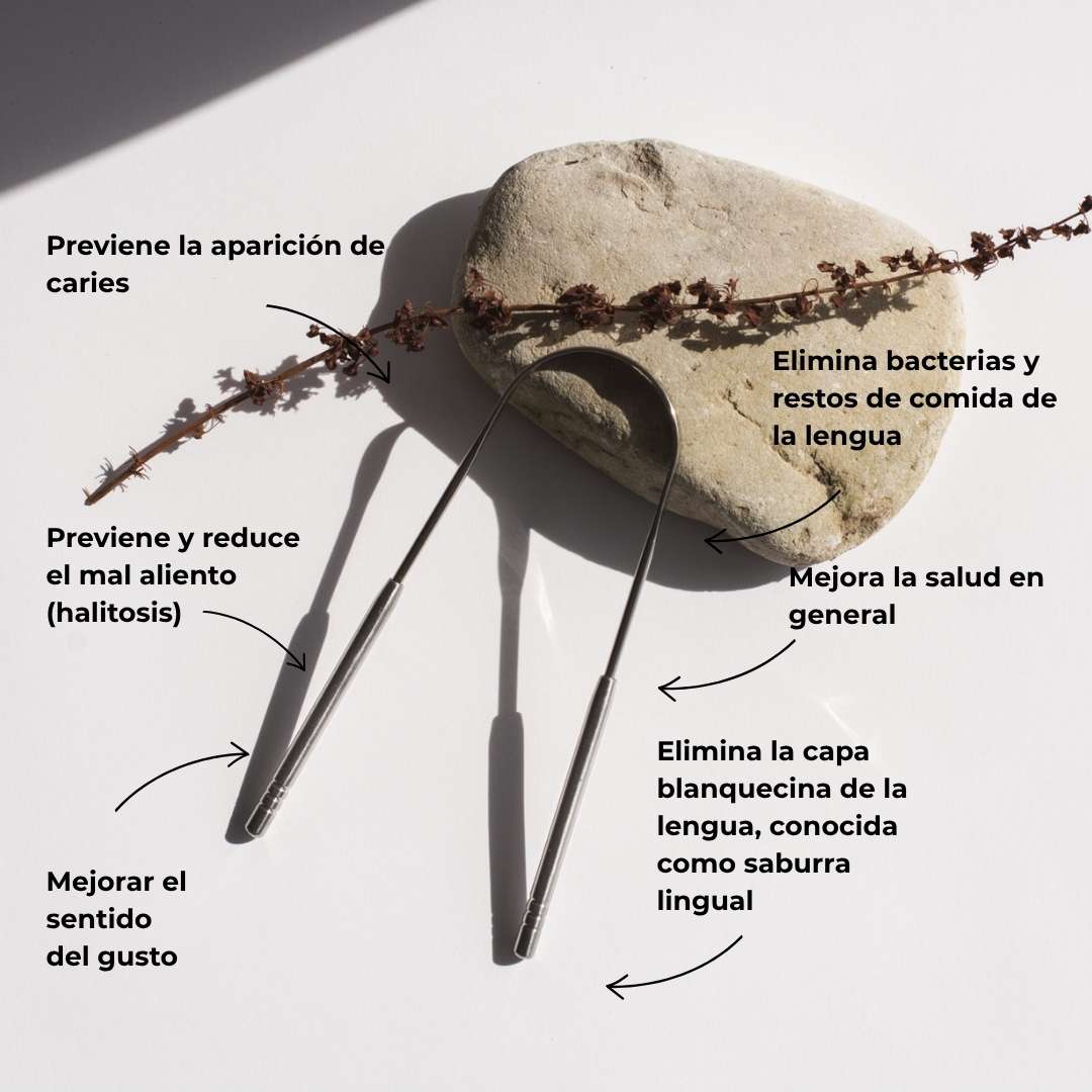 Raspador lingual acero inoxidable