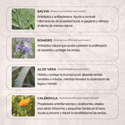 Pasta de dientes ecológica
